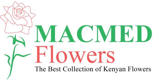 MacMed Flowers logo