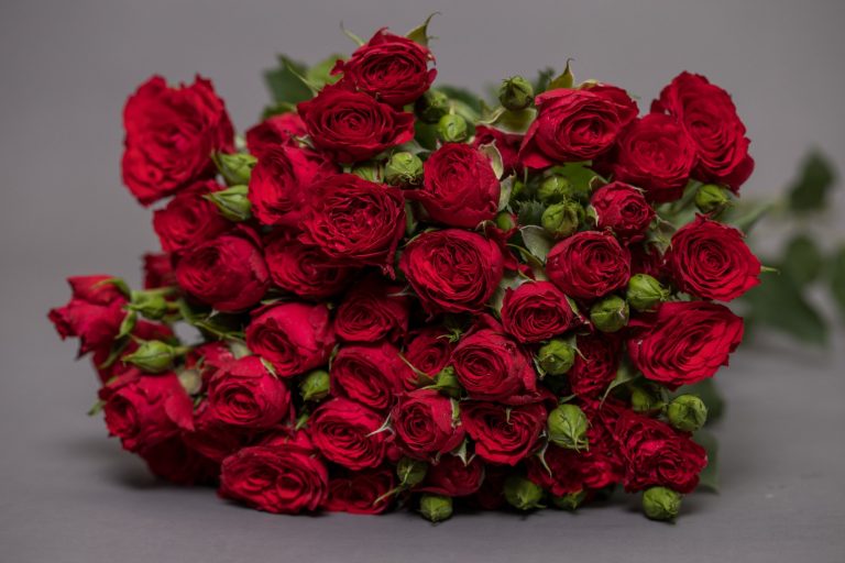 WhatsApp Image 2025-05-28 at 10.36.22_0e167e8c