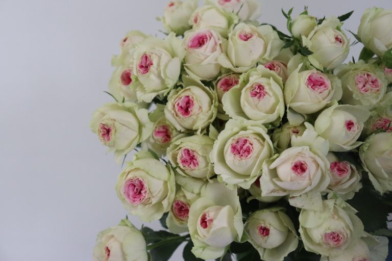 WhatsApp Image 2025-05-28 at 10.36.24_bbd5586c