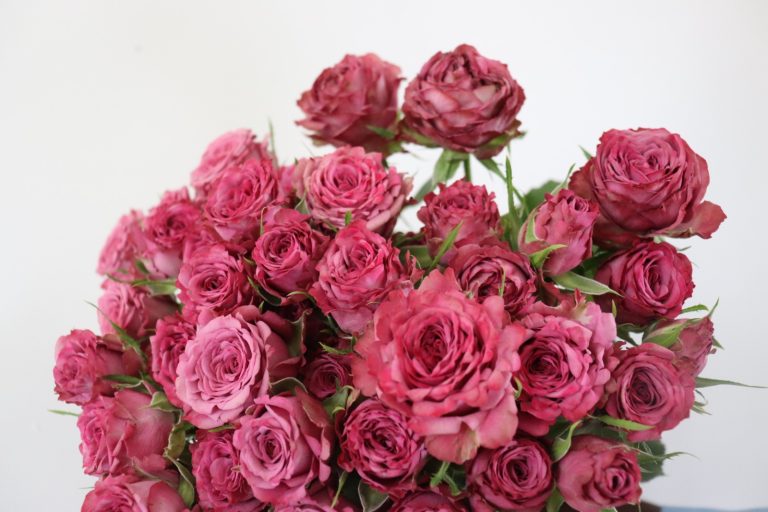 WhatsApp Image 2025-05-28 at 10.36.26_1907e3f5