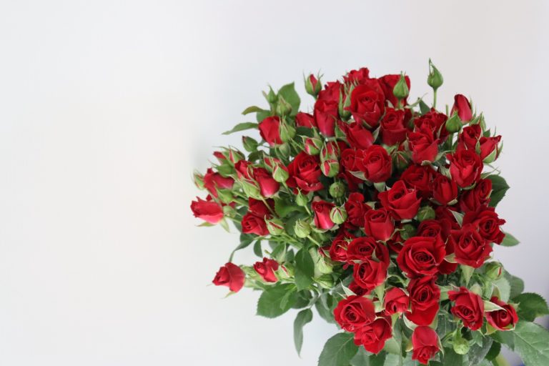 WhatsApp Image 2025-05-28 at 10.36.28_72c2ae9d