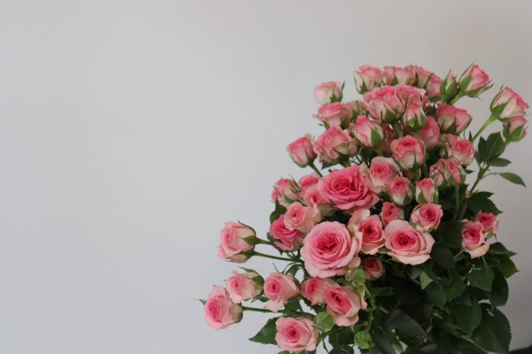 WhatsApp Image 2025-05-28 at 10.36.30_04774b62