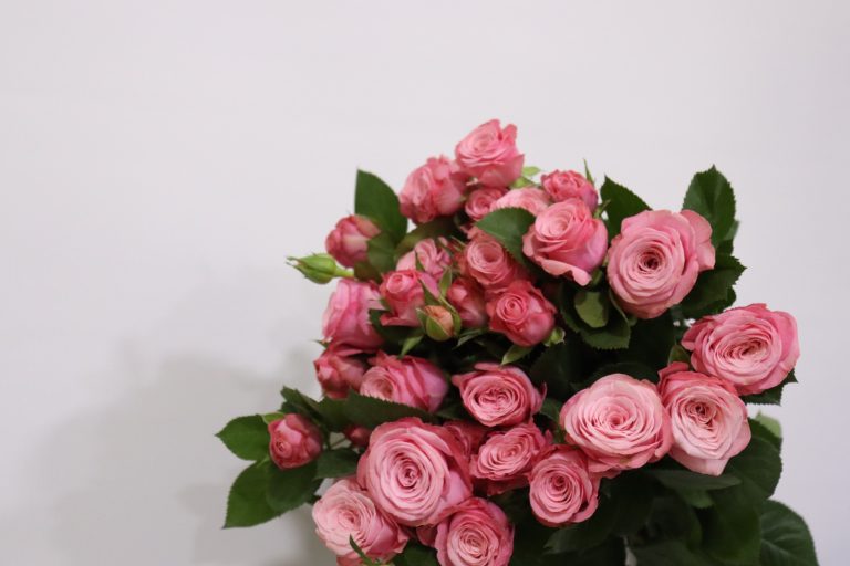 WhatsApp Image 2025-05-28 at 10.36.31_a8bdf725