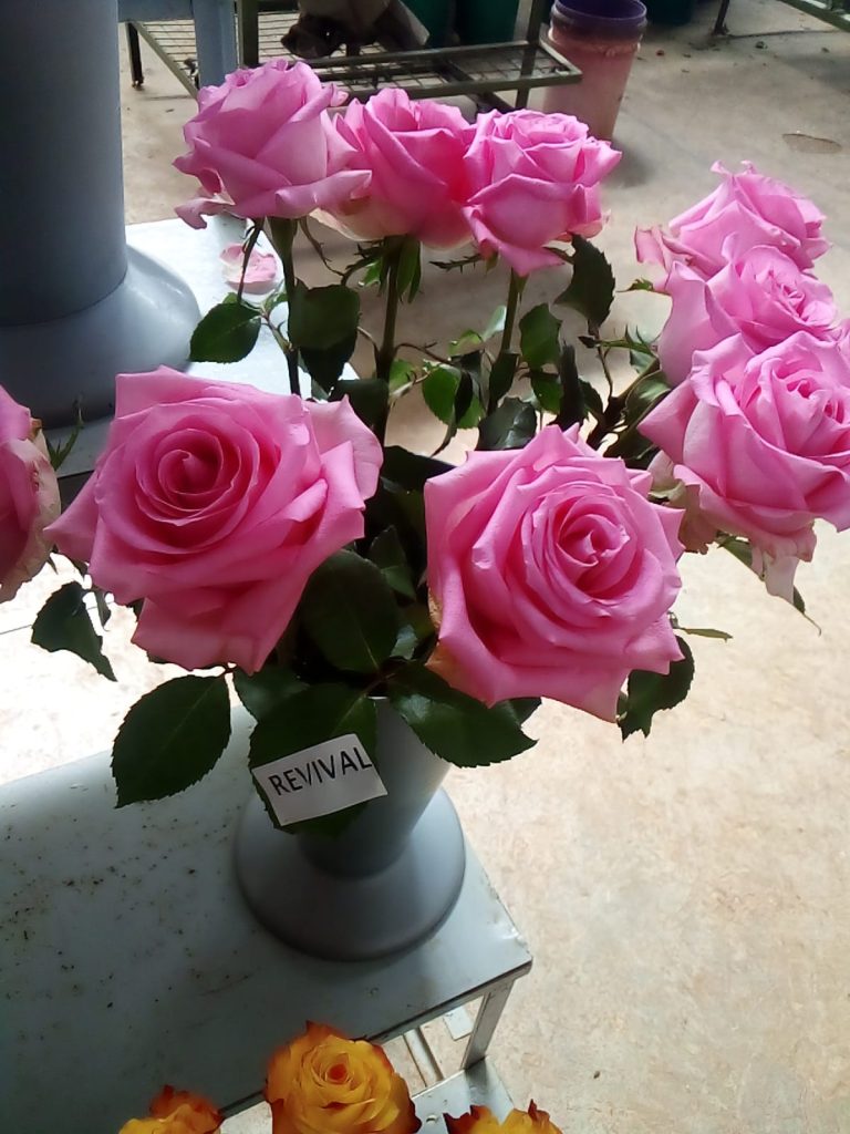 WhatsApp Image 2025-05-28 at 10.36.37_2346c973