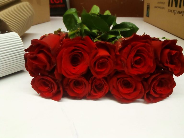 WhatsApp Image 2025-05-28 at 10.36.39_956092af